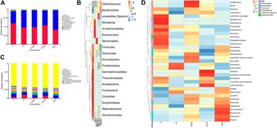 Restorative Effects of Inulin From Codonopsis pilosula on Intestinal Mucosal Immunity, Anti-Inflammatory Activity and Gut Microbiota of Immunosuppressed Mice